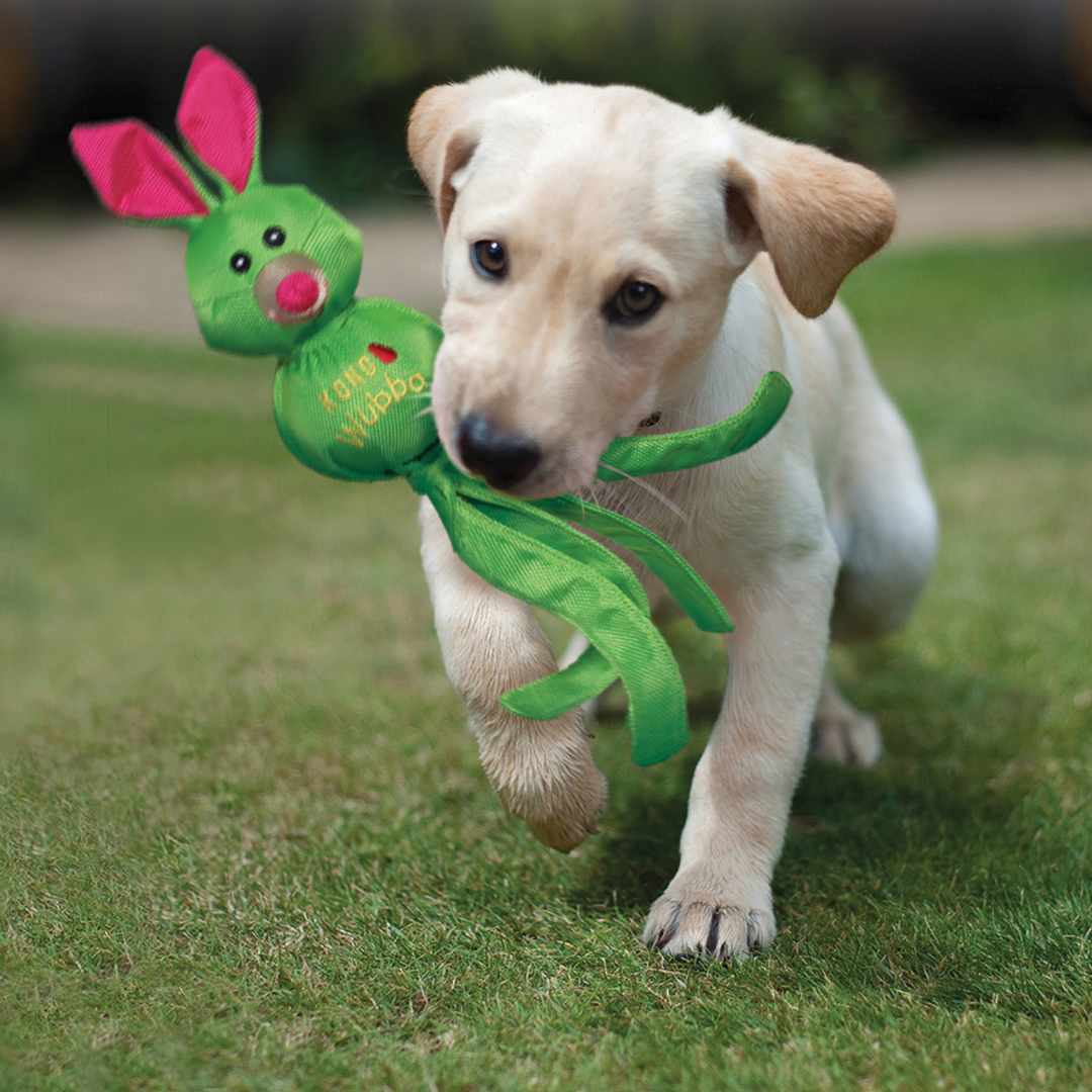 We are a very proud stockist of the fantastic dog and puppy pet toy brand KONG. Incredible quality, interactive, tough, entertaining, tugging, learning toys for all age groups.