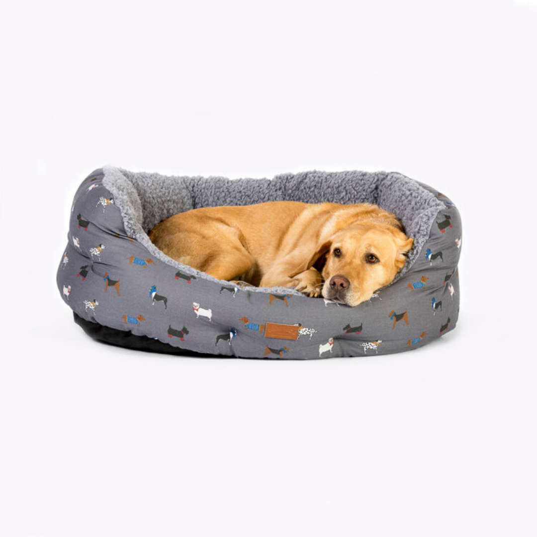 High Quality dog pet beds at balham Bark Doggy Store in Balham. Very near Clapham, Streatham, Tooting, Wandsworth, Brixton and Dulwich
