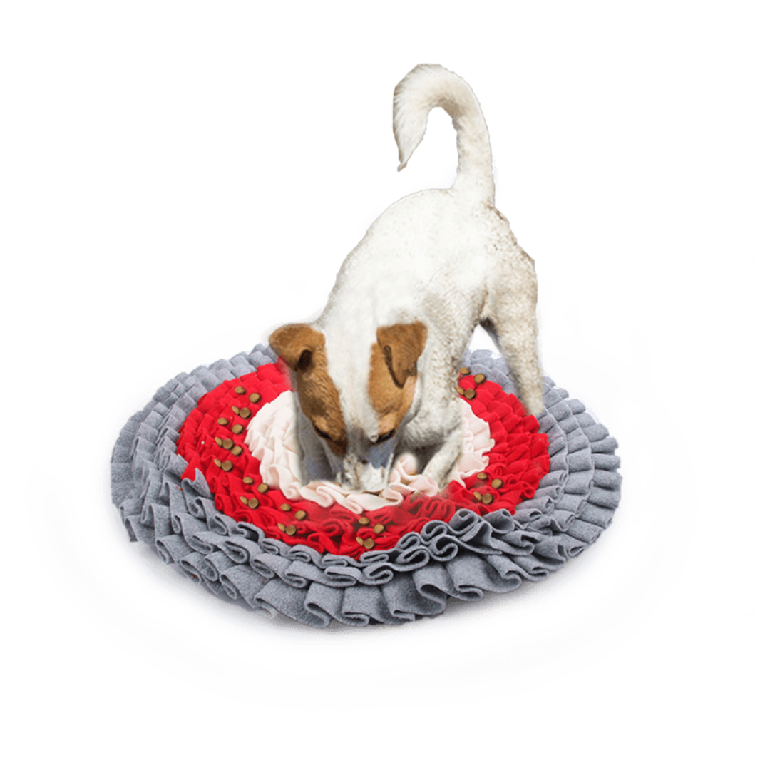 Balham Bark Dog Shop in Balham stock Snuffle balls, Snuffle mats and lots of other interactive and engaging pet toys.
