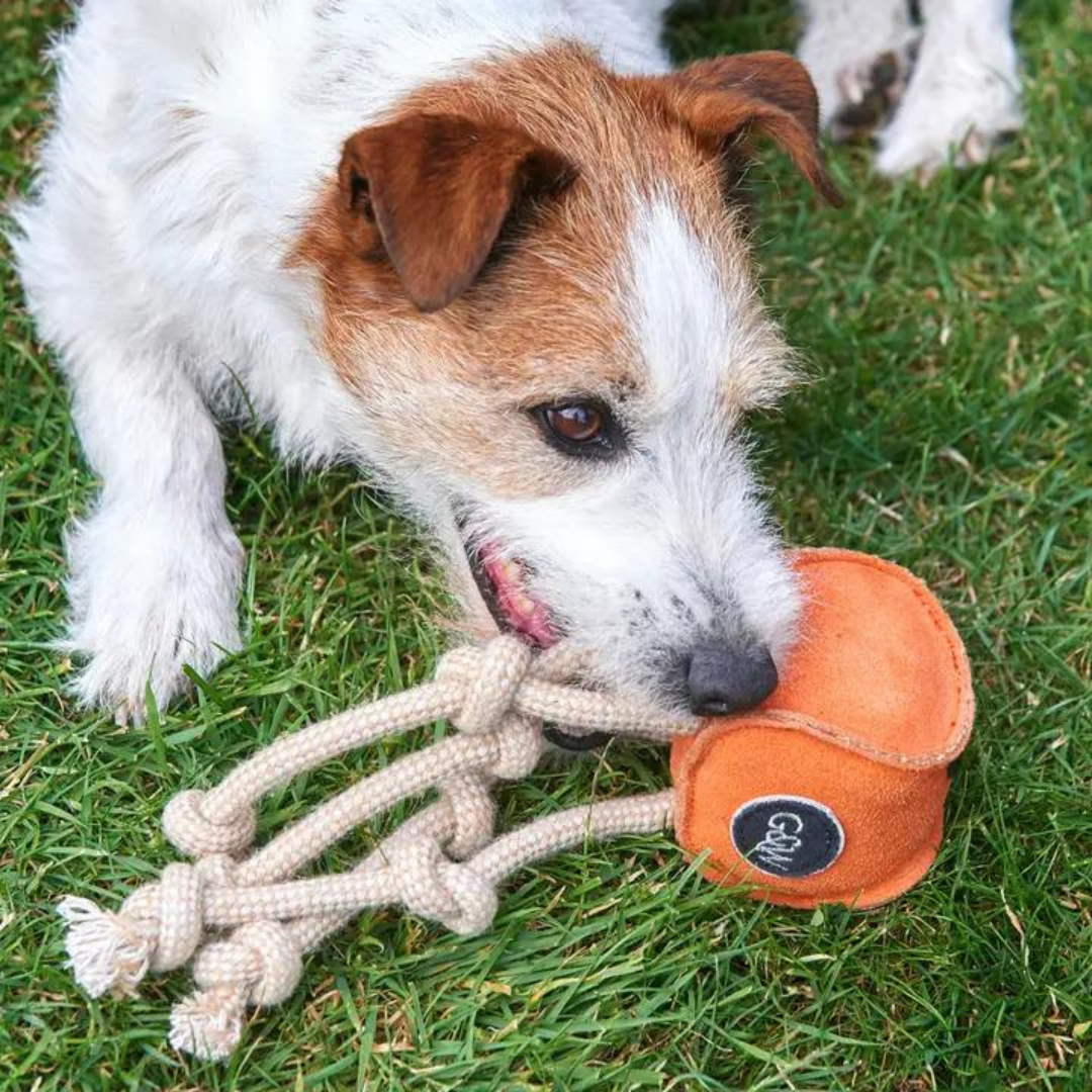Balham Bark Doggy Store is no ordinary Pet Shop. We stock the incredible Eco friendly brand Green & Wild's. Lots of high quality dog and puppy toys.